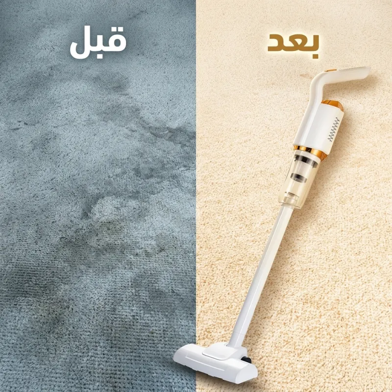 مكنسة ولمامة لاسيليكة 3 في 1